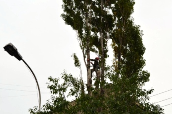 Над тополями в Ужгороді висять альпіністи