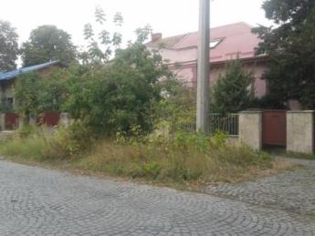 Нескошена трава, неприбрані сухі гілки – традиційна проблема приватних будинків Ужгорода