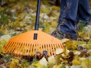 В Ужгороді проведуть Тиждень благоустрою