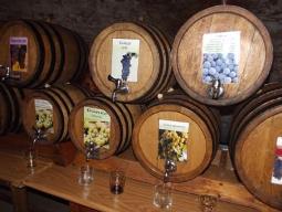 15-17 листопада мешканці та гості Ужгорода куштуватимуть молоде вино