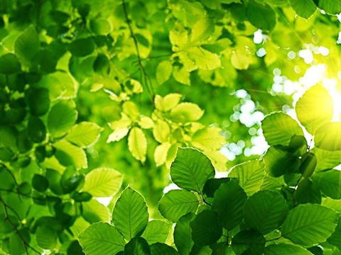 До уваги представників ЗМІ!