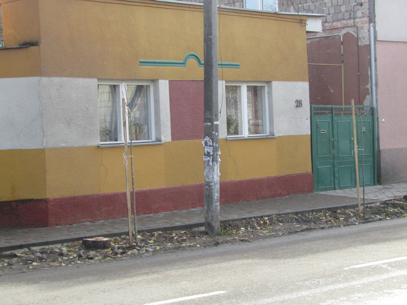 В Ужгороді висаджують молоді дерева