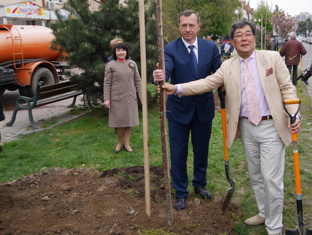 В Ужгороді висадили сакури, подаровані Посольством Японії в Україні