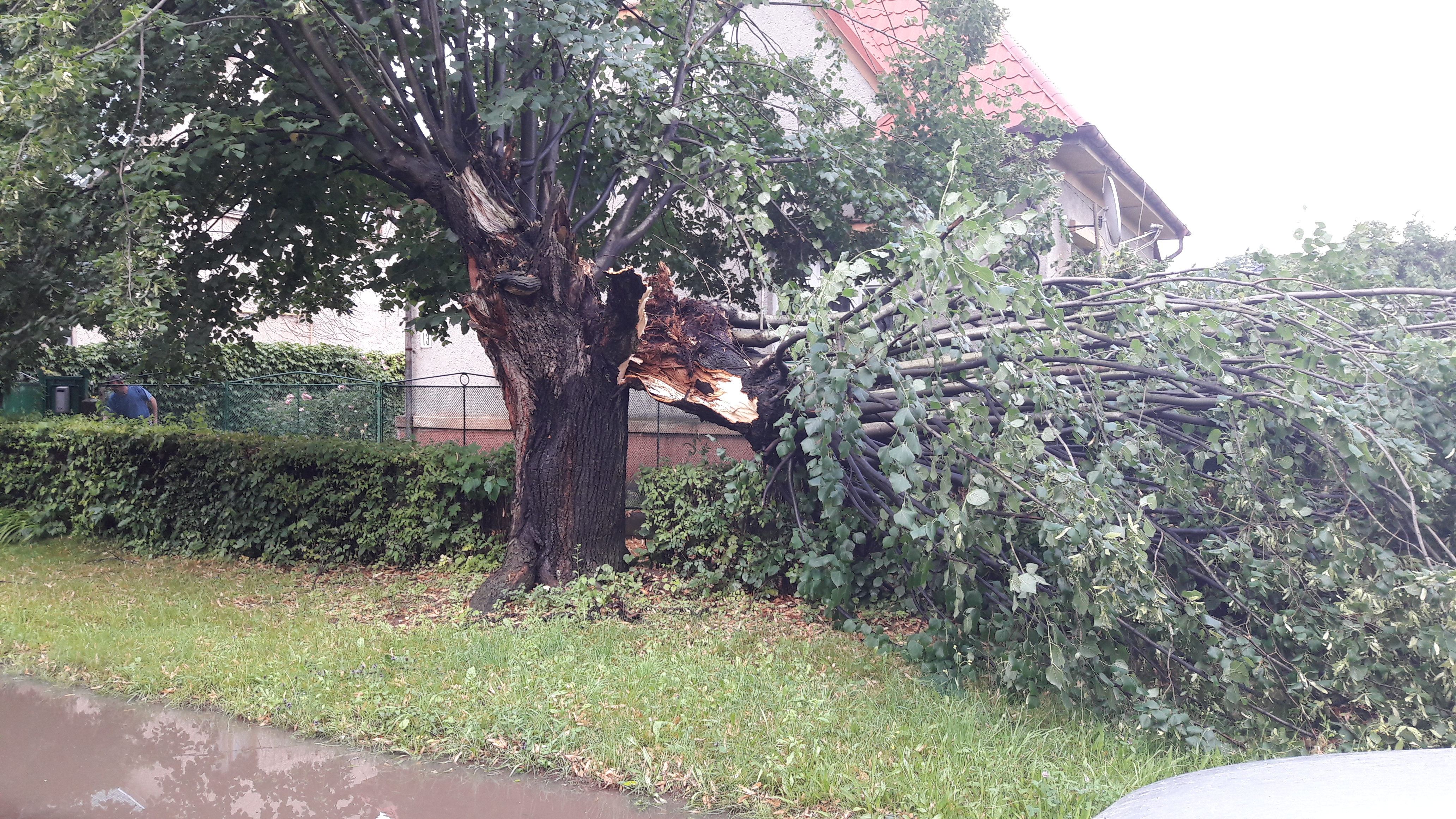 В Ужгороді ліквідовували наслідки негоди