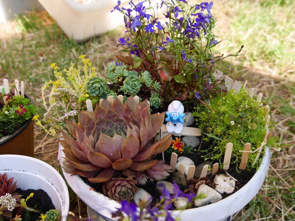 Міні-сад у вазонах вчили ужгородців робити на “Майстерні міста”