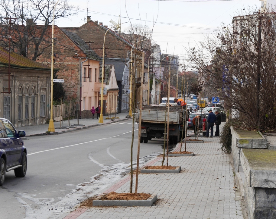 На вулиці Собранецькій в Ужгороді посадили ще десять дерев