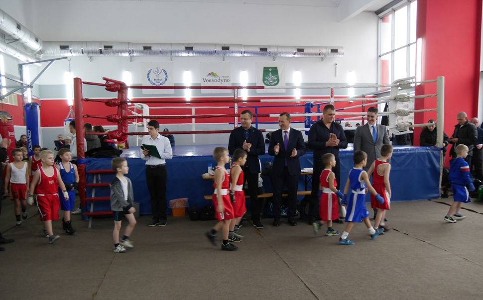 В Ужгороді відбувся турнір з боксу «Кубок Діда Мороза-2017»