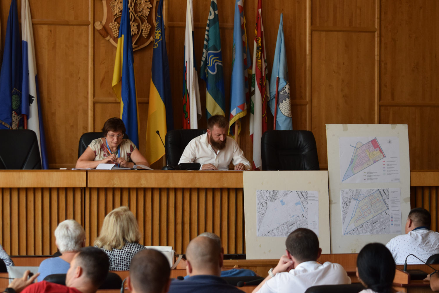 У міській раді провели громадські слухання з обговорення чотирьох детальних планів територій