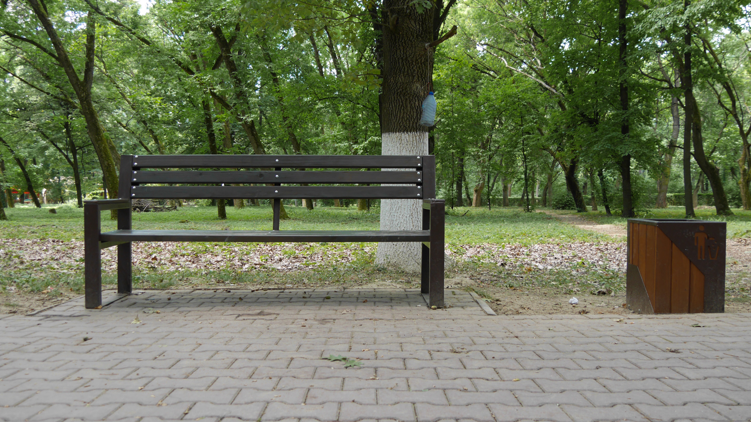 У Боздоському парку в Ужгороді продовжують упорядковувати доріжки і поставили нові лавиці