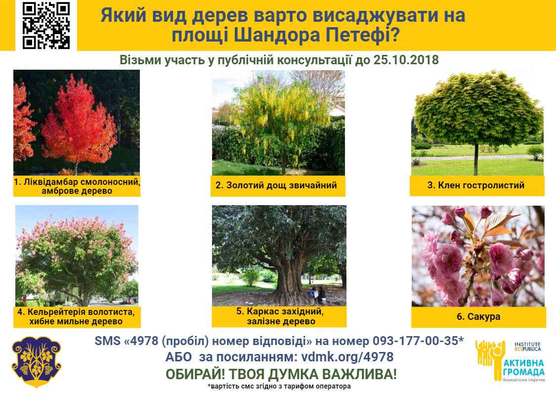 В Ужгороді триває четверта публічна консультація: які дерева садити на пішохідній частині площі Шандора Петефі