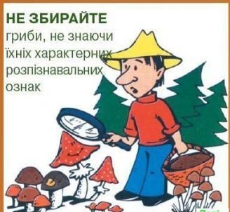 Обережно – гриби!