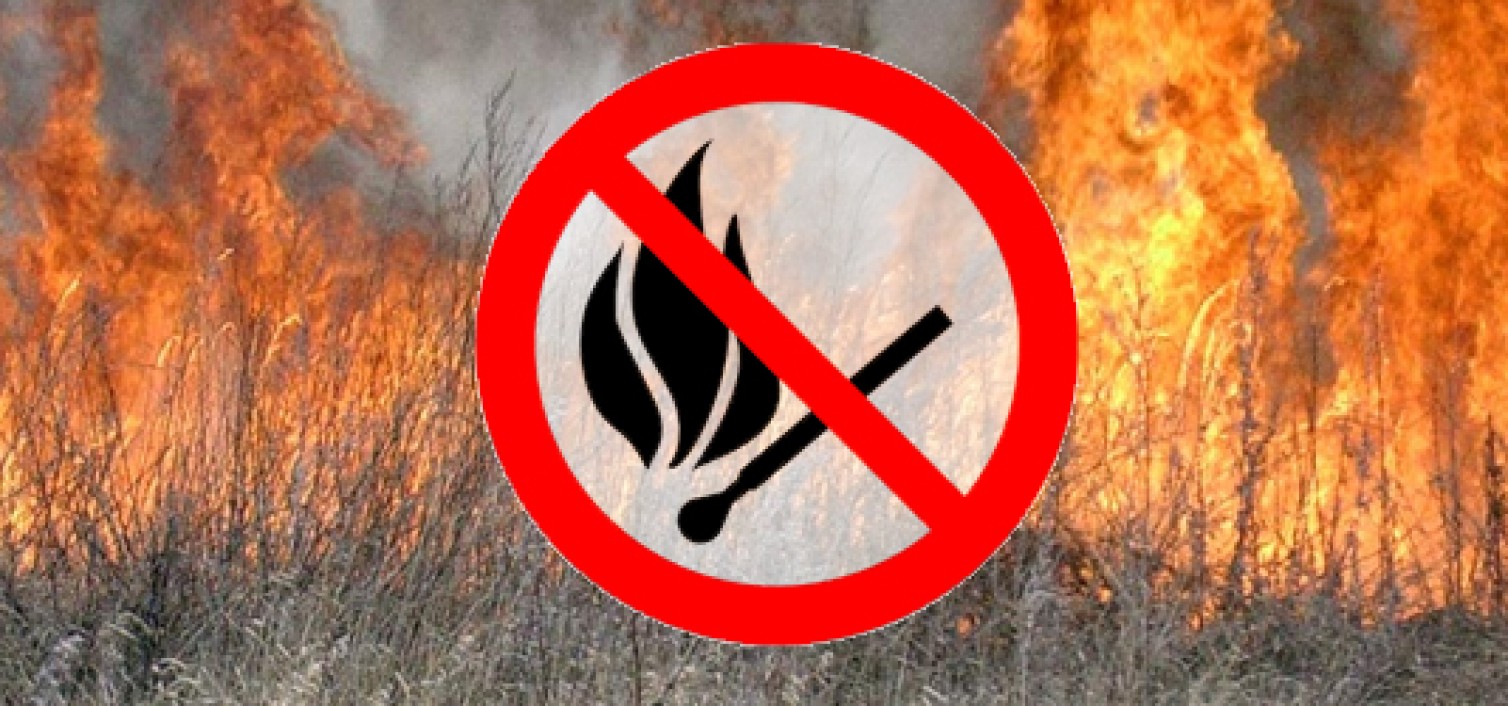 Не спалюйте опале листя, суху траву та сміття!